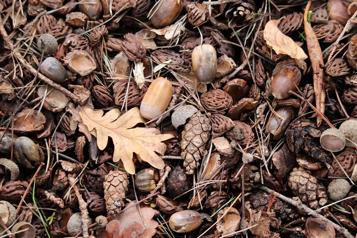 Designing Autumn Patterns for UK Craft Fairs: Motifs, Colours and Repeats